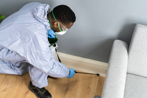 Professional Pest control in Sacaton, AZ